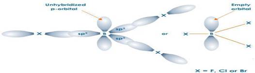  Structure of boron trihalides